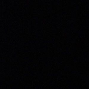 Meet your Posher, Trey